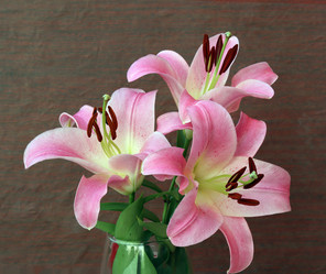 Similar image 21546025