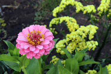 Similar image 21546027