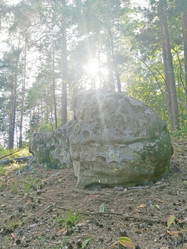 Similar image 21546692