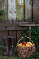 Similar image 21546693