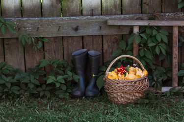 Similar image 21546694