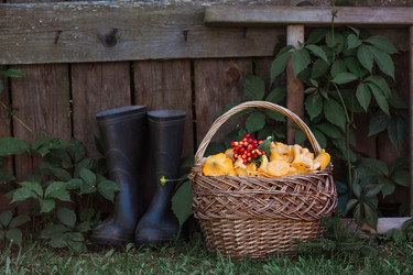 Similar image 21546695