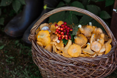 Similar image 21546696