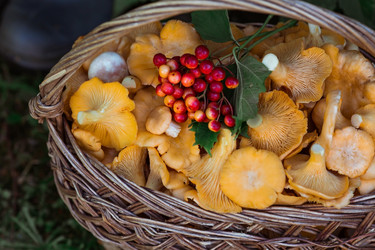 Similar image 21546697