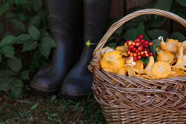 Similar image 21546698