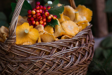 Similar image 21546699