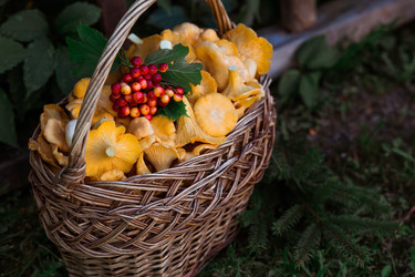 Similar image 21546700