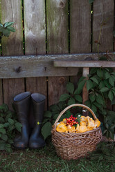 Similar image 21546701