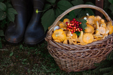 Similar image 21546702