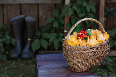 Similar image 21546703