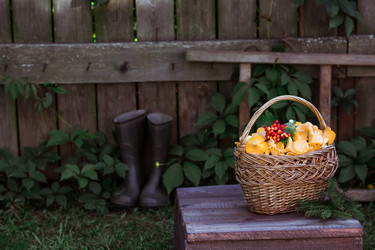 Similar image 21546704