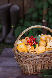 Similar image 21546706