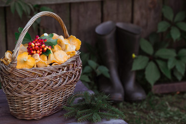 Similar image 21546707