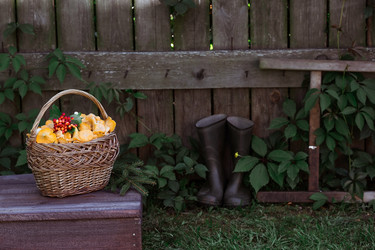 Similar image 21546708