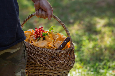 Similar image 21546710