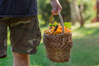 Similar image 21546714