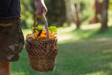 Similar image 21546715