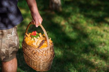 Similar image 21546716