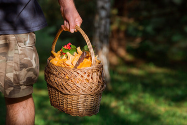 Similar image 21546717