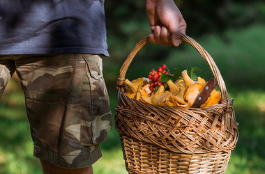 Similar image 21546718