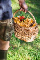 Similar image 21546720