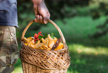 Similar image 21546722