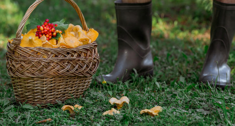 Similar image 21546723