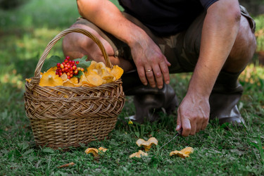 Similar image 21546724