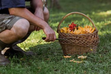 Similar image 21546726