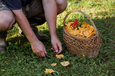 Similar image 21546727