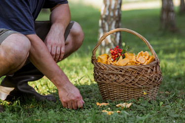 Similar image 21546728