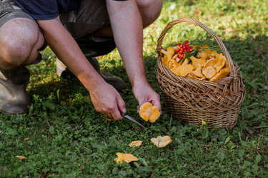 Similar image 21546729