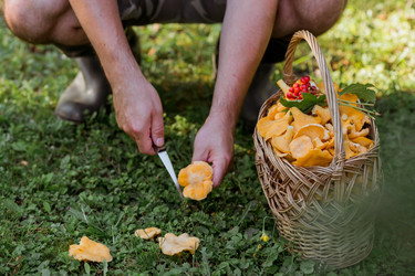 Similar image 21546730