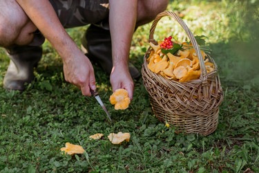 Similar image 21546732