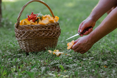 Similar image 21546733