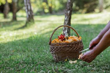 Similar image 21546735