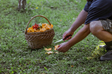 Similar image 21546736