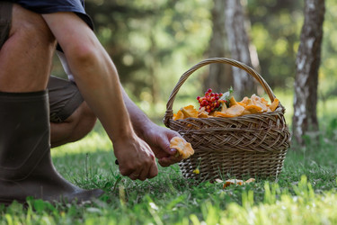 Similar image 21546738