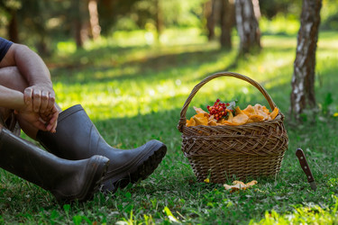 Similar image 21546739