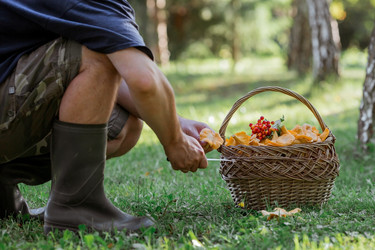 Similar image 21546740