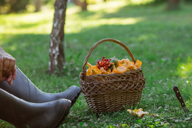 Similar image 21546741