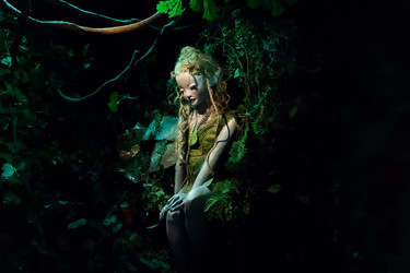 Similar image 21546864