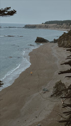 Similar image 21547393