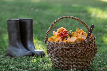 Similar image 21546879