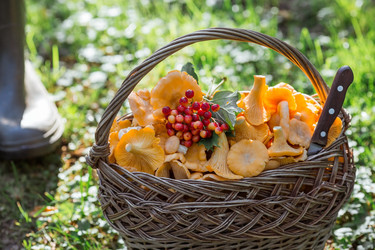 Similar image 21546880