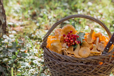 Similar image 21546881