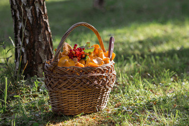 Similar image 21546882