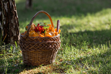 Similar image 21546883