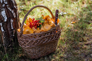 Similar image 21546884