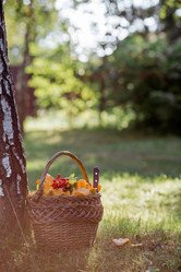 Similar image 21546885